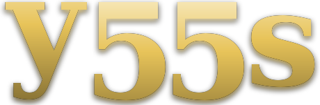 y55s logo